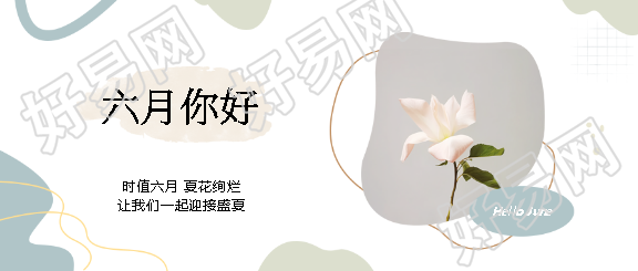 六月你好唯美花卉实景微信公众号首图