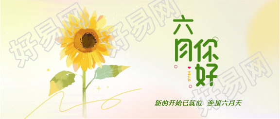 六月你好小清新向日葵微信公众号首图