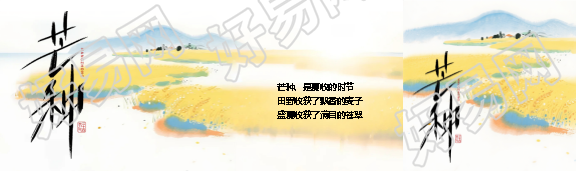 24节气芒种国风公众号封面图