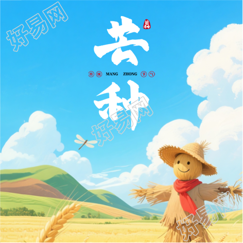 芒种24节气教育宣传微信公众号次图