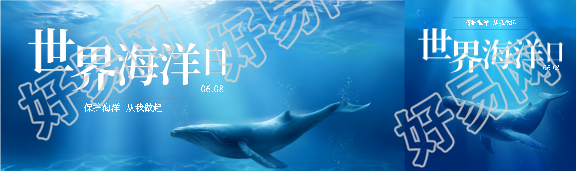 6月8日世界海洋日宣传公众号封面图