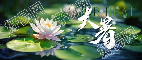 大暑时节荷花实景微信公众号首图
