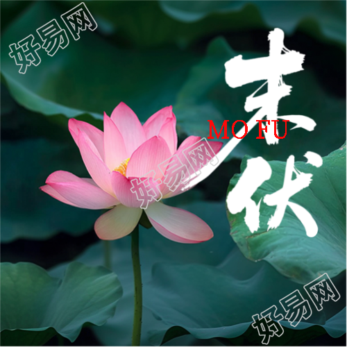 末伏谨防秋老虎微信公众号次图