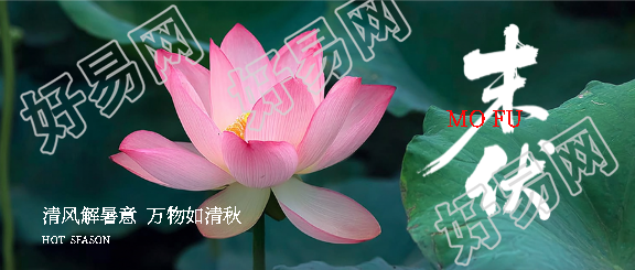 今日末伏秋风初起微信公众号首图